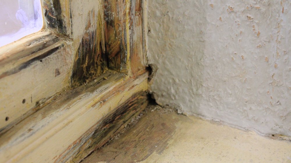 Top Considerations To Hire Damp Proofers
