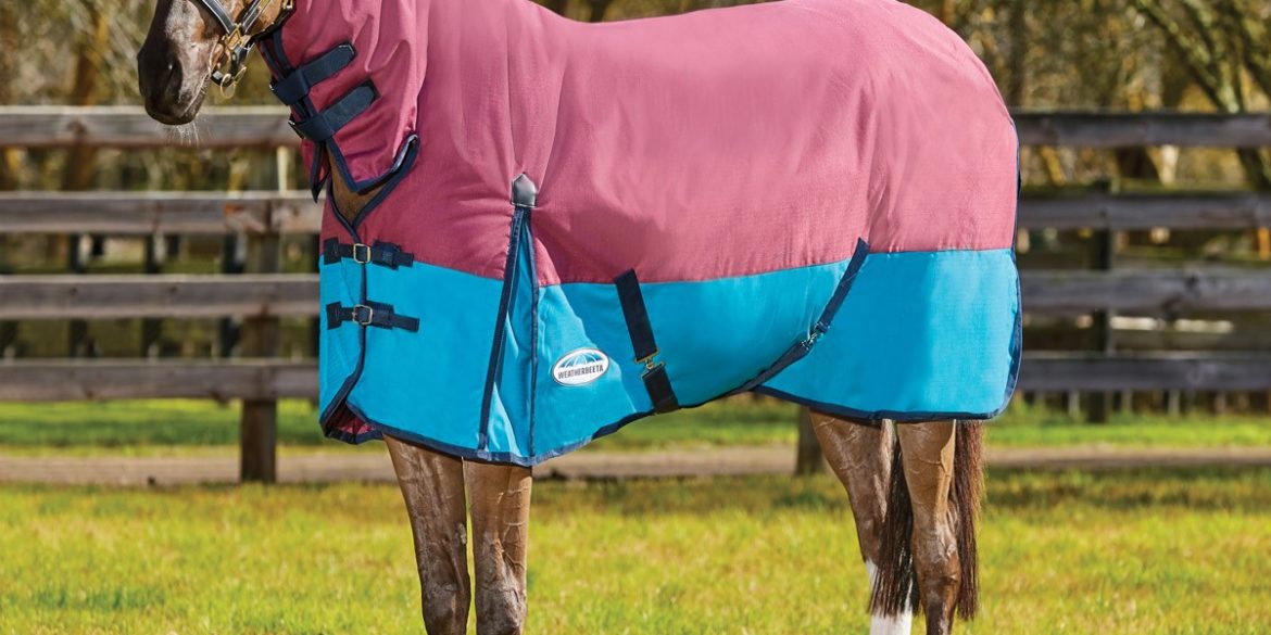 heavyweight turnout rug